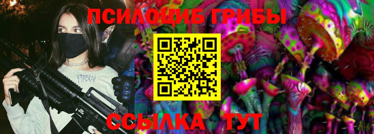 Галлюциногенные грибы Psilocybine cubensis  Вход с VPN  Славянск-на-Кубани 