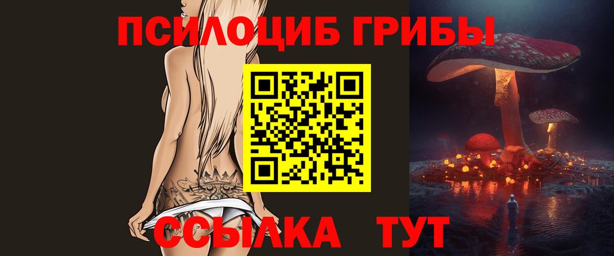Псилоцибиновые грибы прущие грибы Славянск-на-Кубани